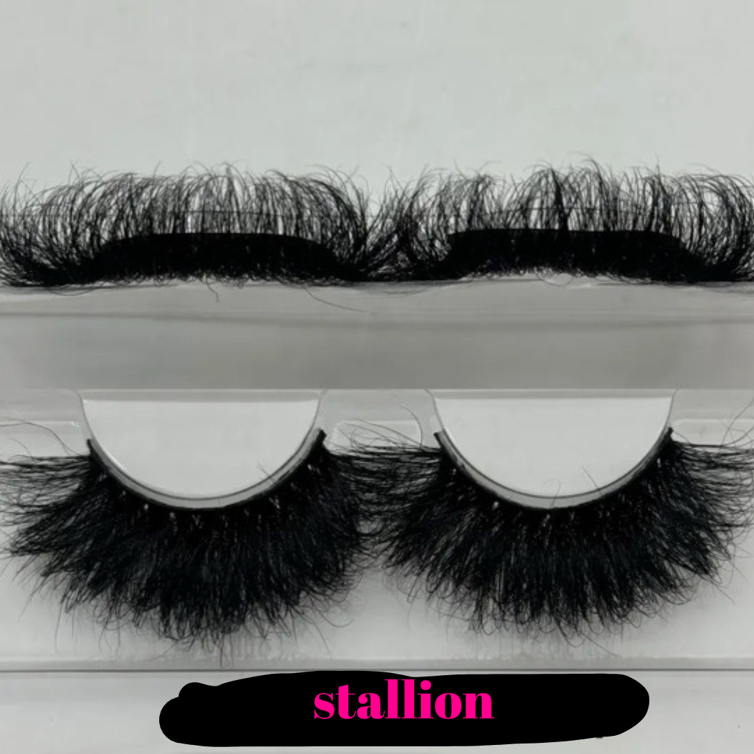 stallion